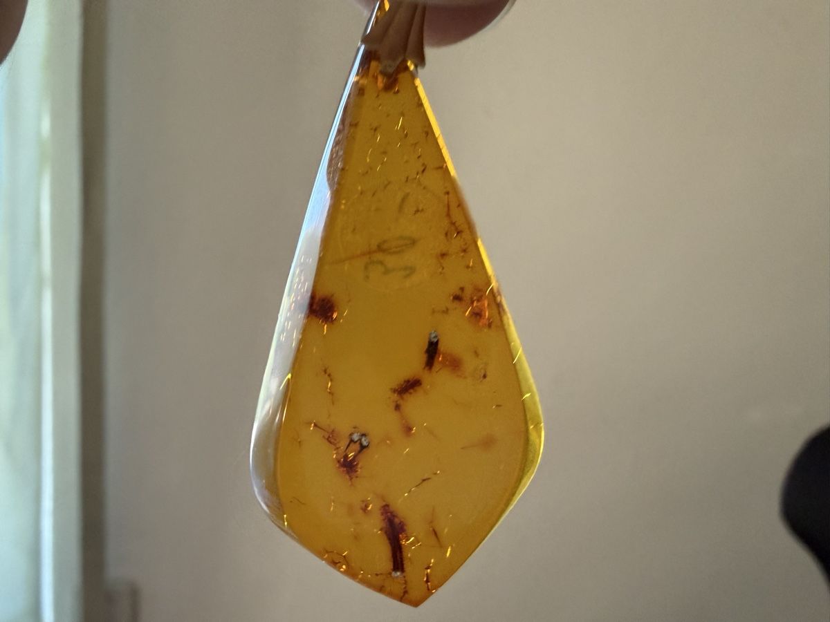 Ciondoli: Bernsteinanhänger mit Einschlüssen 3.6g – Nuovo (secondo la descrizione) da Lamone venduto da LaCantinaMagica