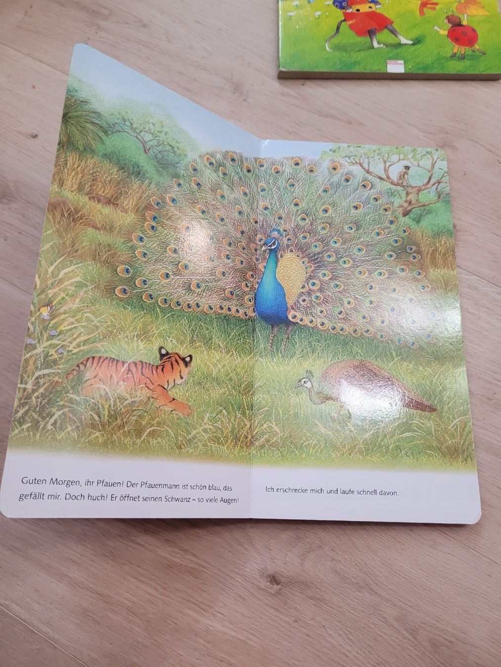 Livres: Buch Tierkinder 2 Jahre – D'occasion à Lupsingen par sta_wgg5 5