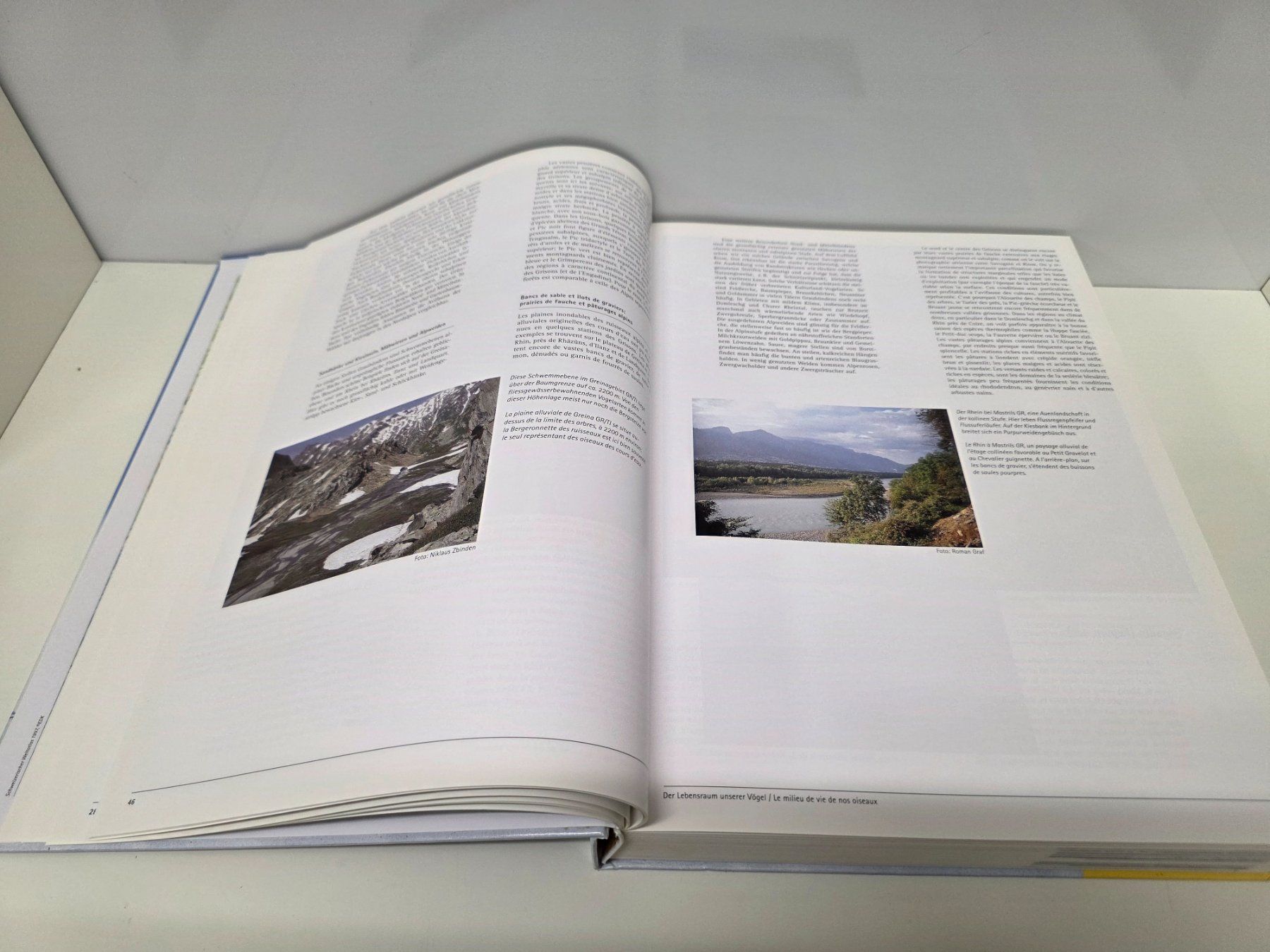 Libri: Schweizer Brutvogelatlas Vogelwarte Sempach – Usato da Herisau venduto da Dinge-in-Bewegung 3