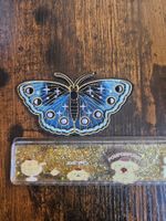 Aufnäher Blauer Schmetterling / Motte