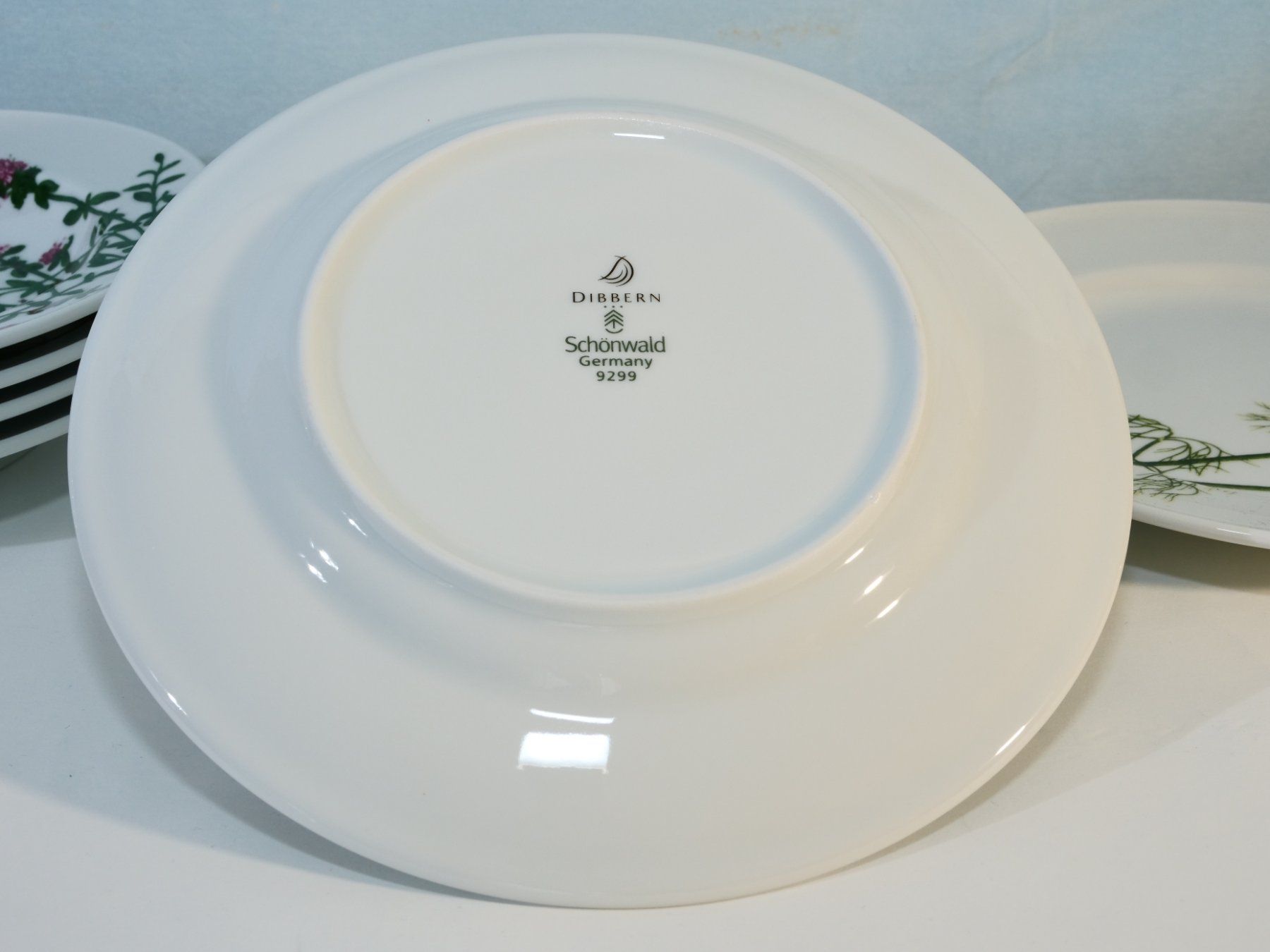 Dibbern Piatti: Dibbern Schösswald Teller Set, Kräuter Design, Top – Usato da Lustmühle venduto da Glatisant 2