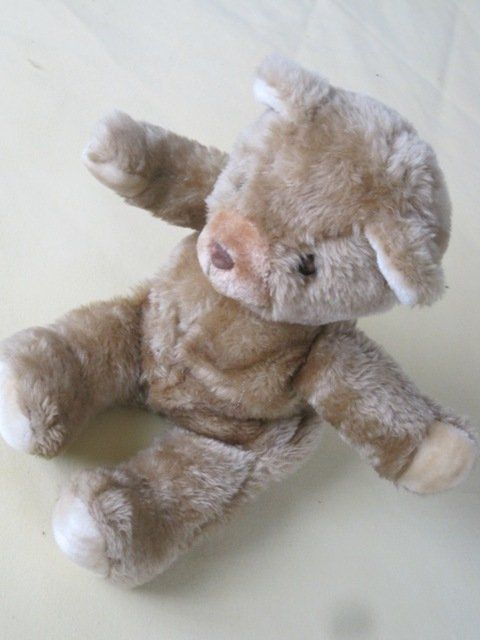 Bambole: ALTER BRUMM -TEDDY – Usato da Zürich venduto da Fredor01 4