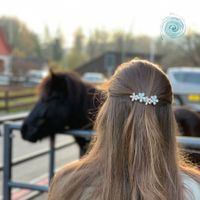 Chicory :: Hairclip Haarspange
