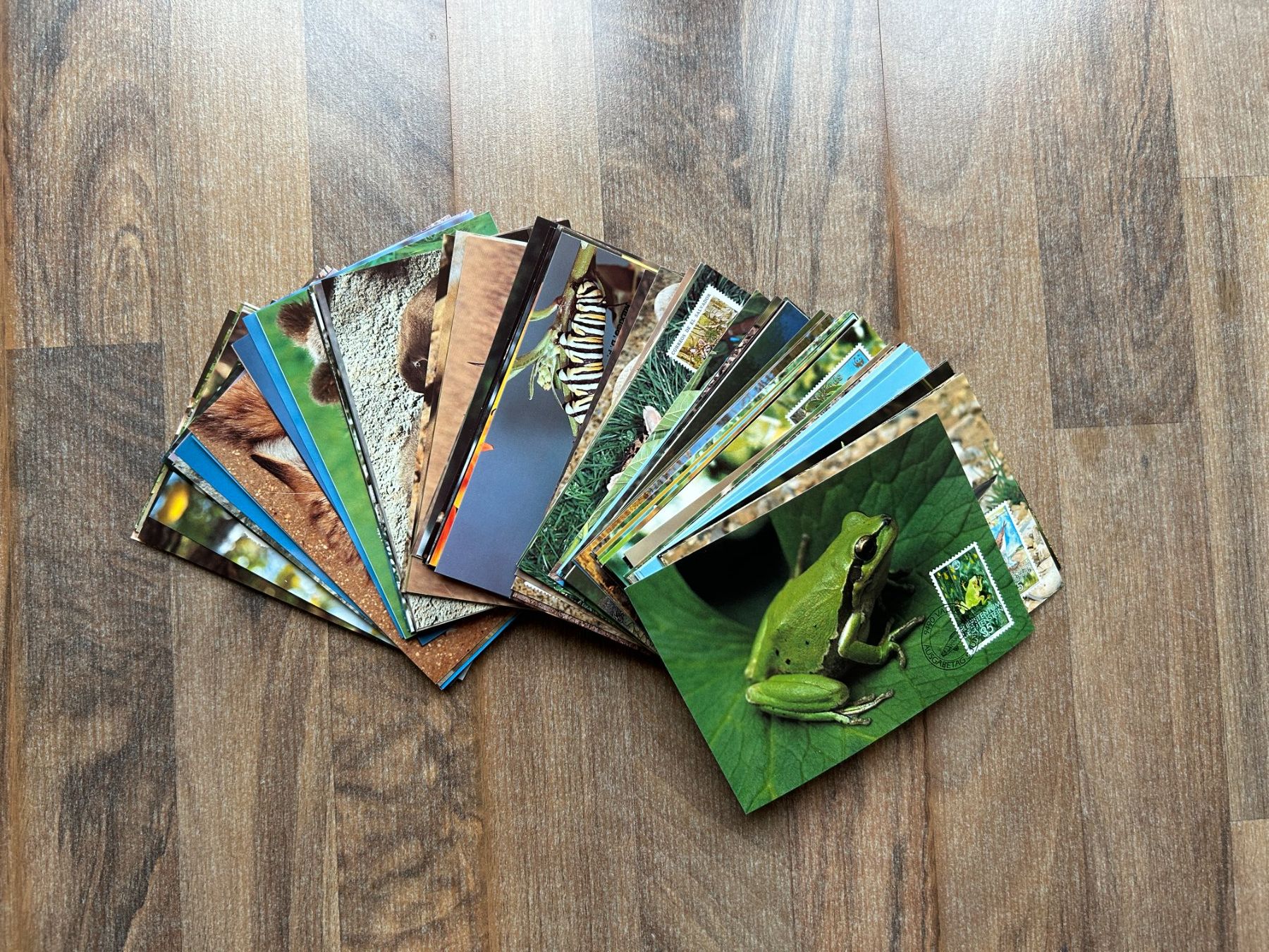 Tutti i francobolli: Briefmarkensammlung WWF – Nuovo (secondo la descrizione) da Wiggiswil venduto da Cwi0 4