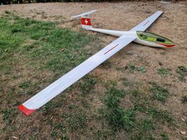 Segelflugzeug Speed Astir