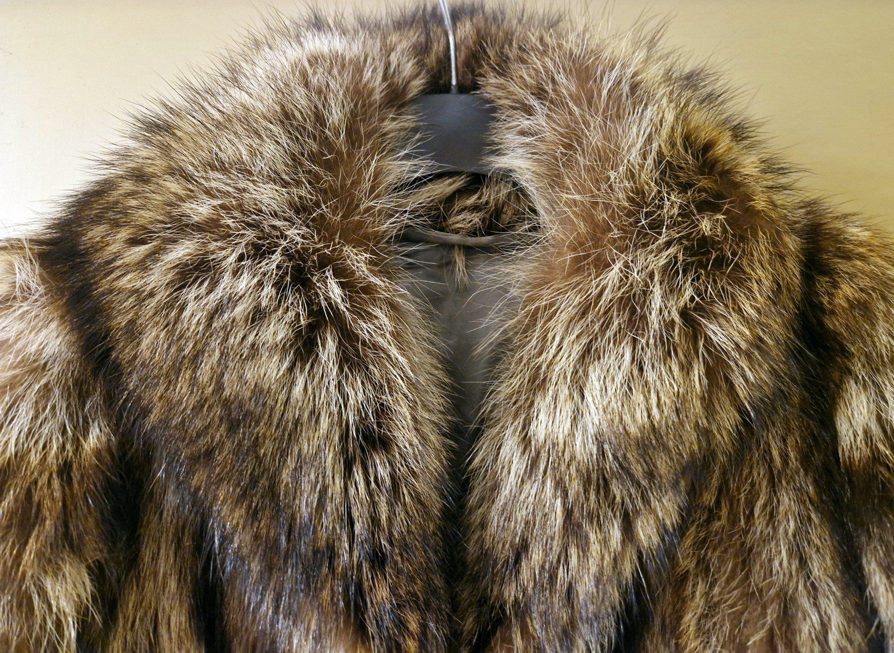 Cappotti: Wunderschöner Waschbär Pelzmantel Gr. 38 – Usato da Stallikon venduto da Oceanblue1 5