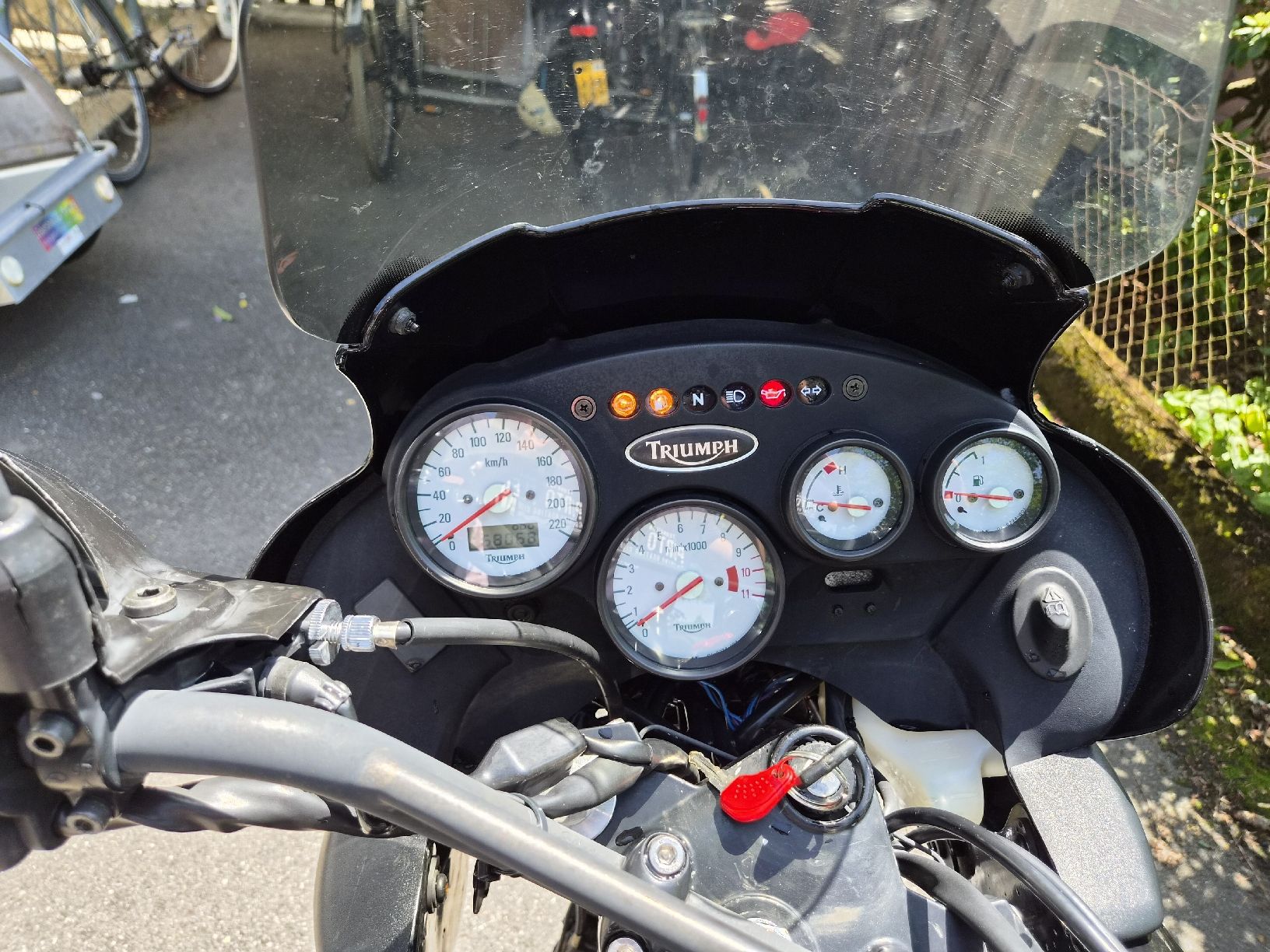 Triumph Enduro: Triumph Tiger 955i schwarz – Usato da Thun venduto da Maerger 1