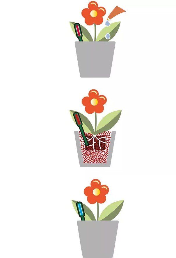 Piante & sementi: Seramis Giessanzeiger, Indoor, 2 Stück – Nuovo e nell'imballaggio originale da Koppigen venduto da Bracher_Mail-House 3