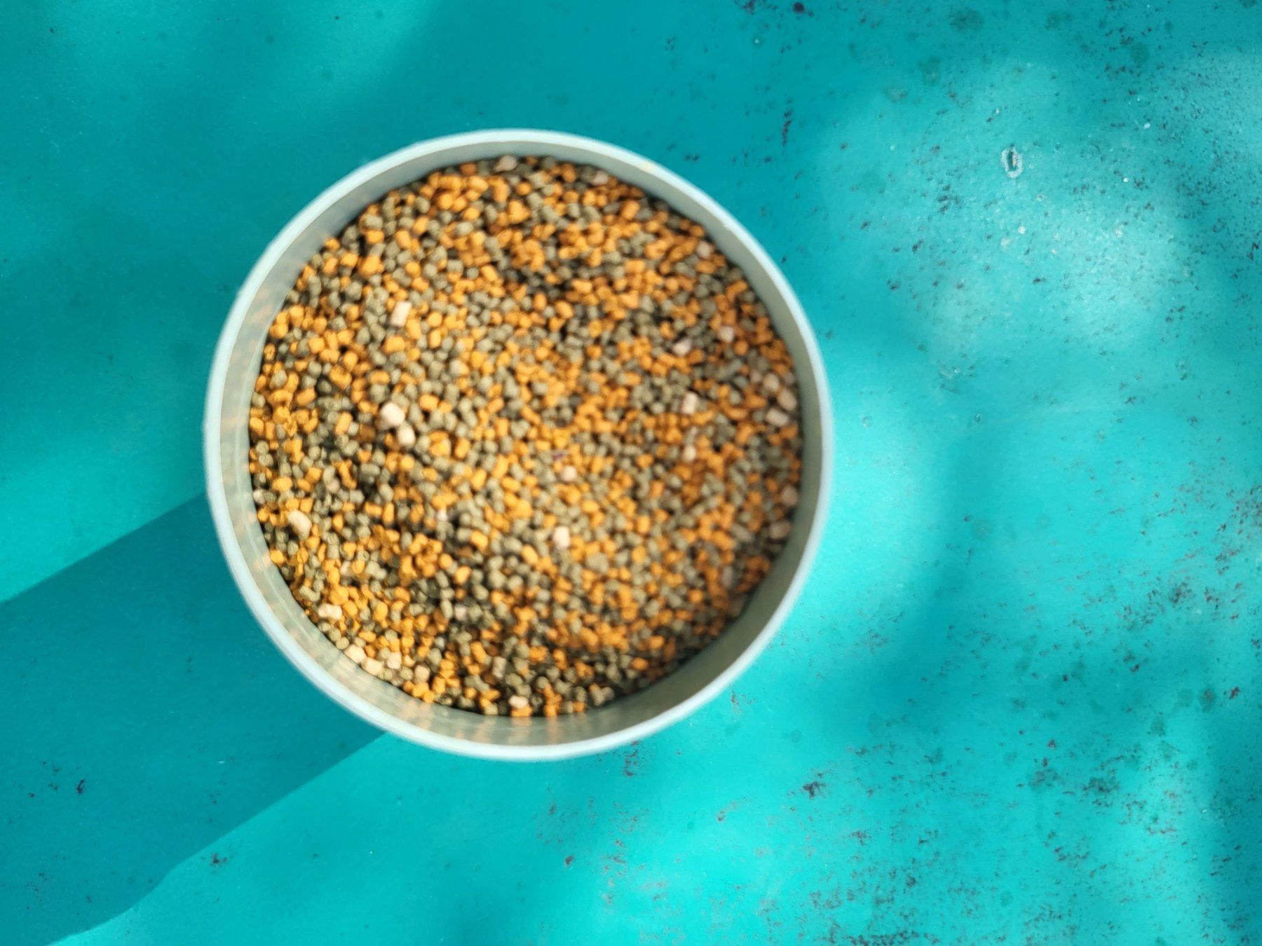 Mangimi: Fischfutter Tetra Cichlid Granules – Usato da Brunnen venduto da vitheo 1