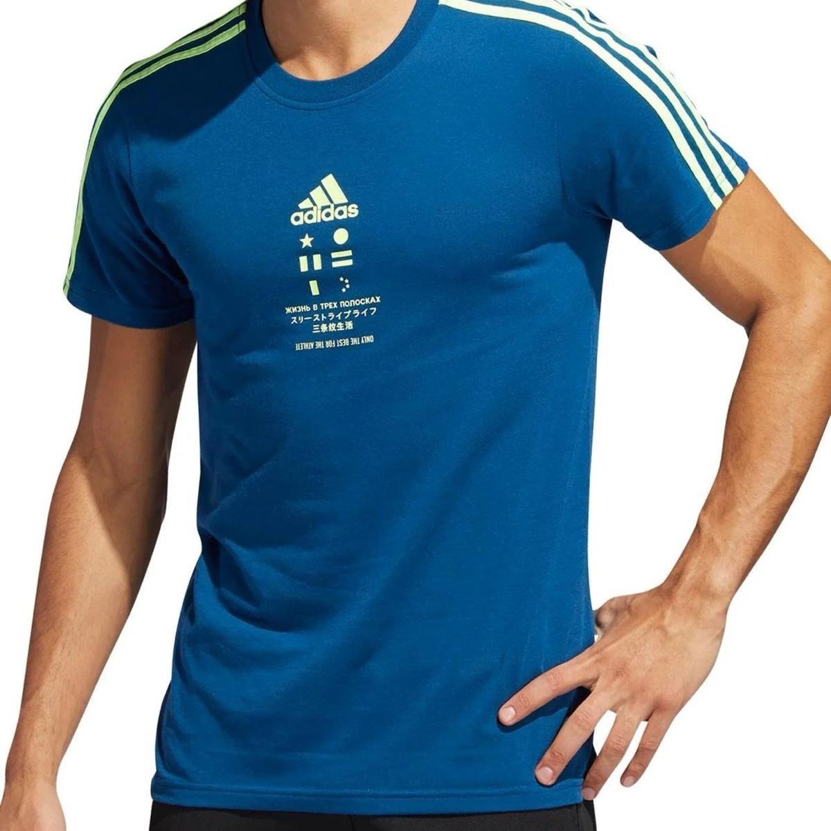 Adidas T-shirt: Adidas T-Shirt – Usato da Zürich venduto da scrym 2