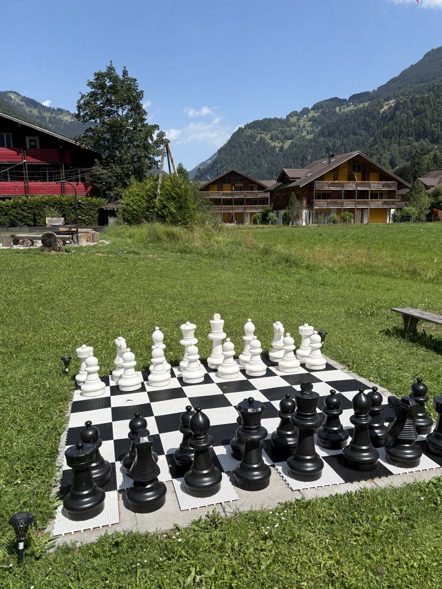 Giochi: RIESENSSCHACH – Usato da Lauterbrunnen venduto da Johnny_LBR