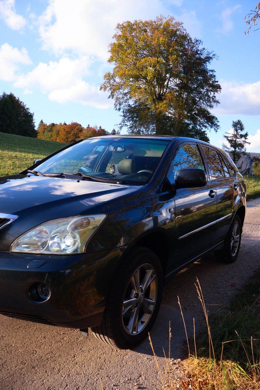 Lexus Autos: Lexus frisch ab MFK – D'occasion à Biel/Bienne par ri-k2503 1