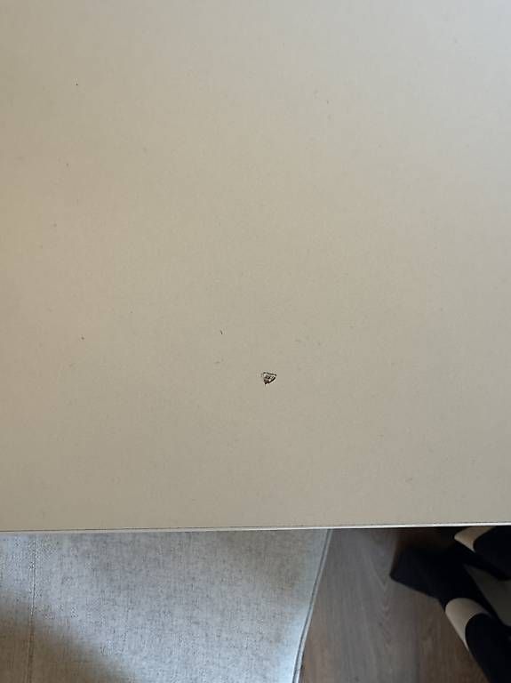 Tavoli: Ikea MELLTORP Tisch – Usato da Zürich venduto da viv_nh96 2