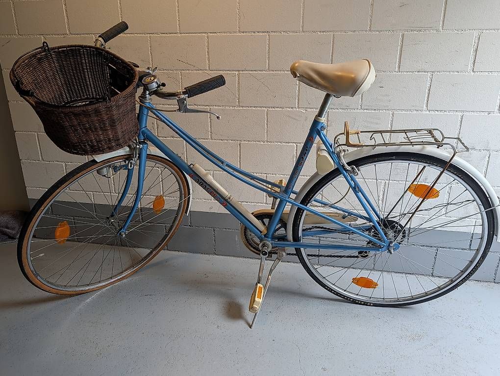 Biciclette: Damen Fahrrad – Usato da Bern venduto da bernerboy