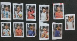 Panini WM 2026 Coca-Cola Bildli
