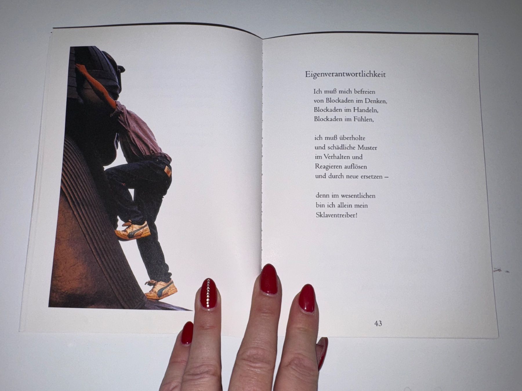 Libri: Buch: Hoffnungsschimmer auf Hochglanz poliert – Usato da Grosswangen venduto da Second_hand_paradise 5
