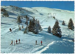 Bad Ragaz - Skilift Pardiel--Laufboden