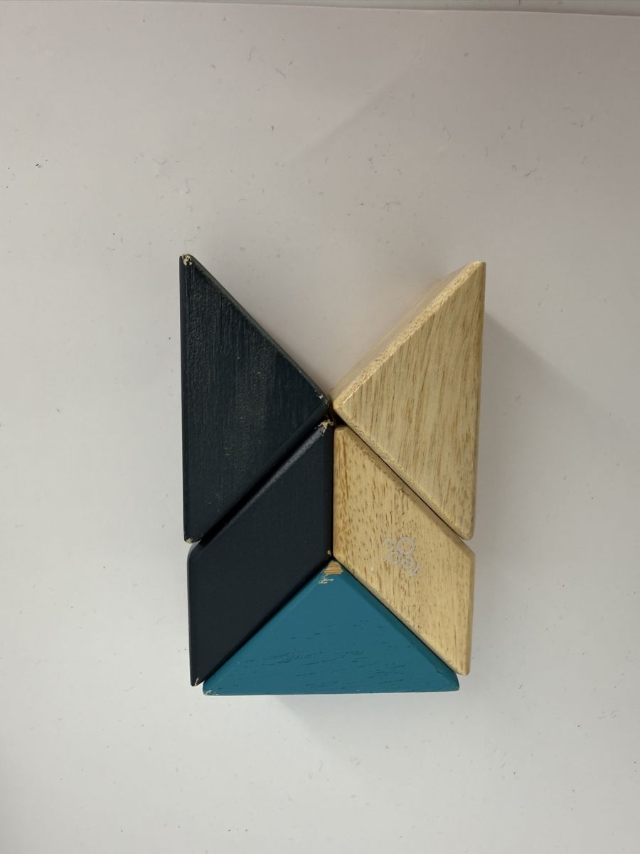 Giocattoli: Tegu Magnetbausteine Set Holz  – Usato da Auenstein venduto da moin. 2