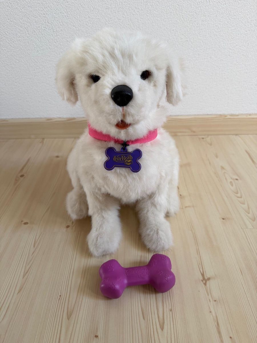 Hasbro Giocattoli: Furreal Hund Cookie von Hasbro – Usato da Beinwil (Freiamt) venduto da Zpower