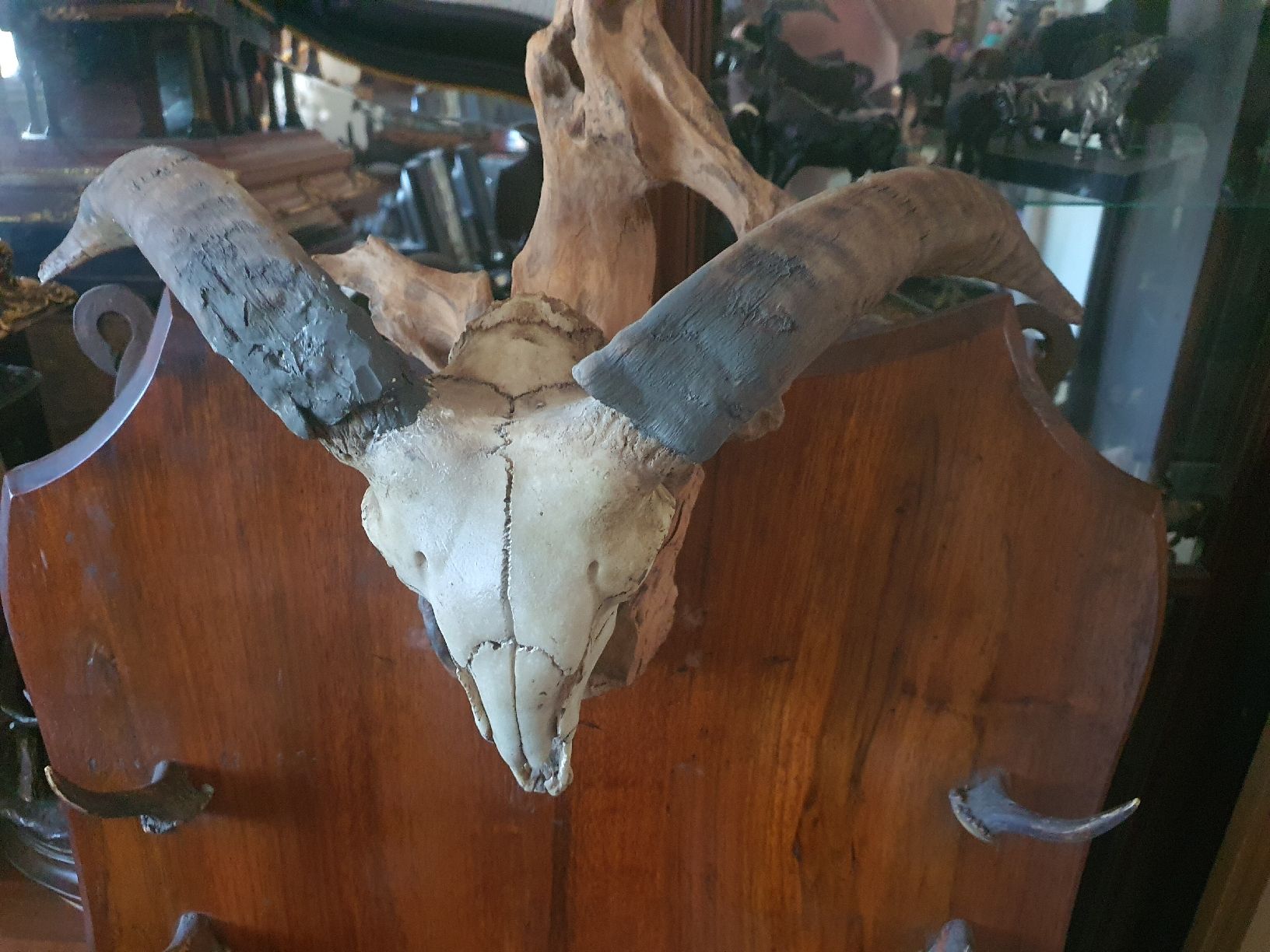 Fixations: Rarität Gewehrhalter – D'occasion à Wangen b. Olten par Hecht62xyz 3