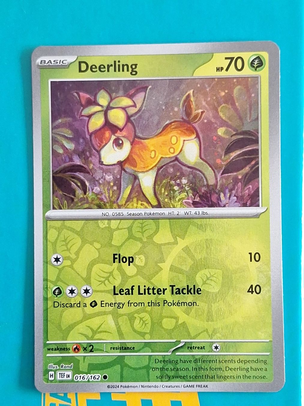 Pokémon Carte collezionabili: Deerling - Pokemon Temporal Forces Reverse Holo - #2.6 – Usato da Altstätten SG venduto da GGsGameshop