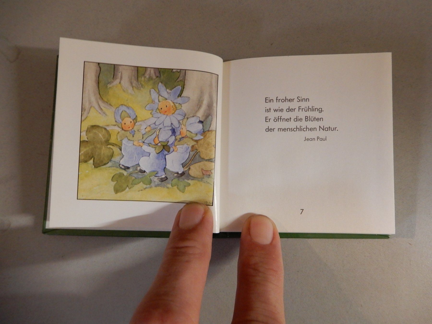 Libri: Blumenkinder - Die kleine Freude - ars edition Buch – Usato da Erstfeld venduto da Mario_boe0 4