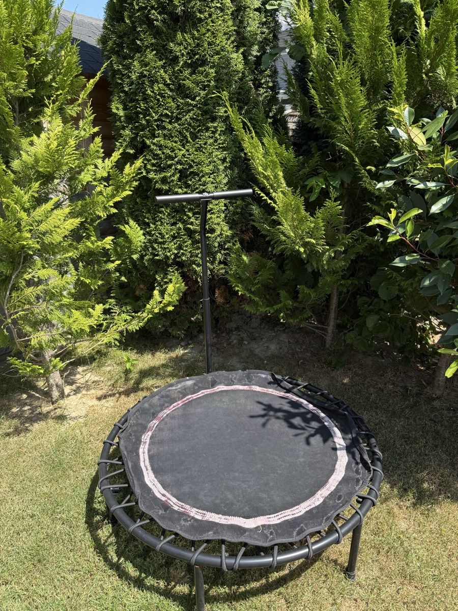 Trampolini: Fitness Trampolin mit Haltegriff – Usato da Pfaffnau venduto da M_LU