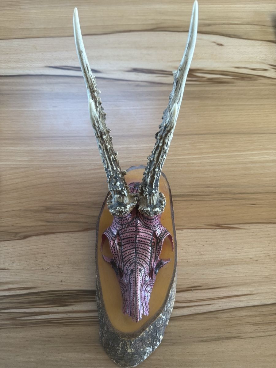 Tutte le decorazioni: Rehschädel handbemalt und Airbrush – Usato da Grenchen venduto da Bastet007