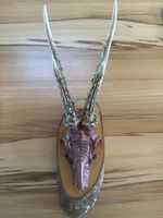 Rehschädel handbemalt und Airbrush