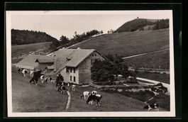 Weissenstein, Wirtschaft zum Sennhaus, W