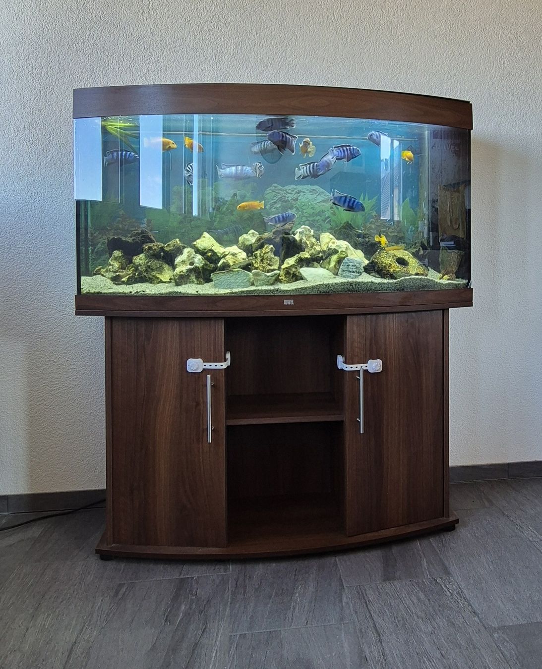 Juwel Acquari: Gebrauchtes Aquarium mit Fische. – Usato da Wattenwil venduto da claudia_spreng