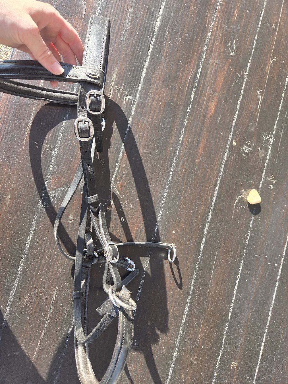 Briglie & Cavezze: Ennasure à menton croisé taille cheval – Usato da Lens venduto da ade_nb6v 3