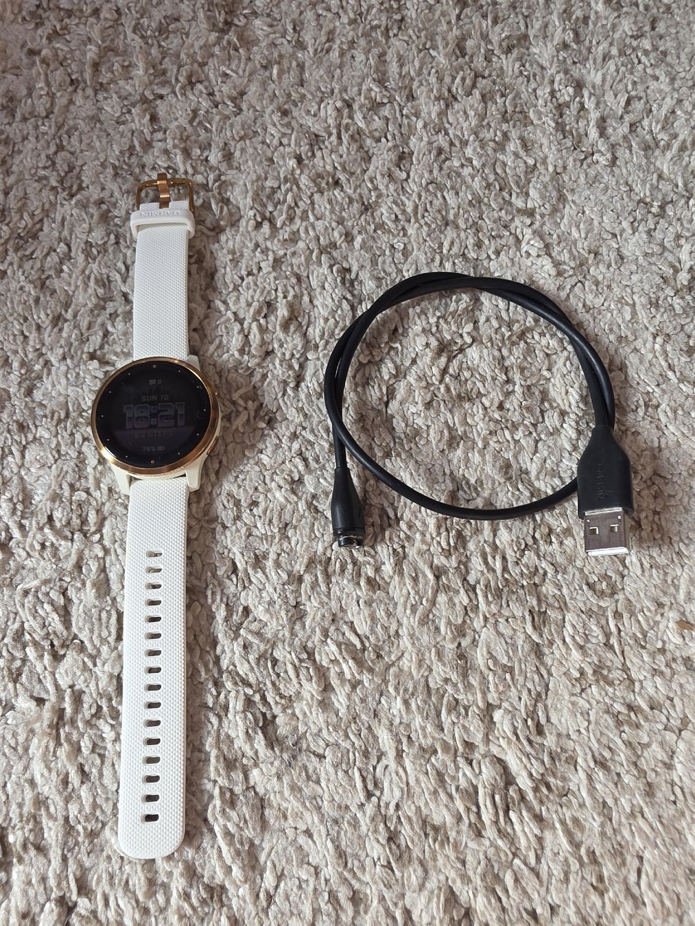 Garmin Smartwatch: Garmin Vivoactive 4S – Gebraucht aus Suhr von MrvicaAG