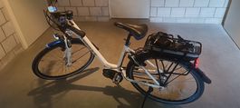 E-Bike: Crosswave Pro