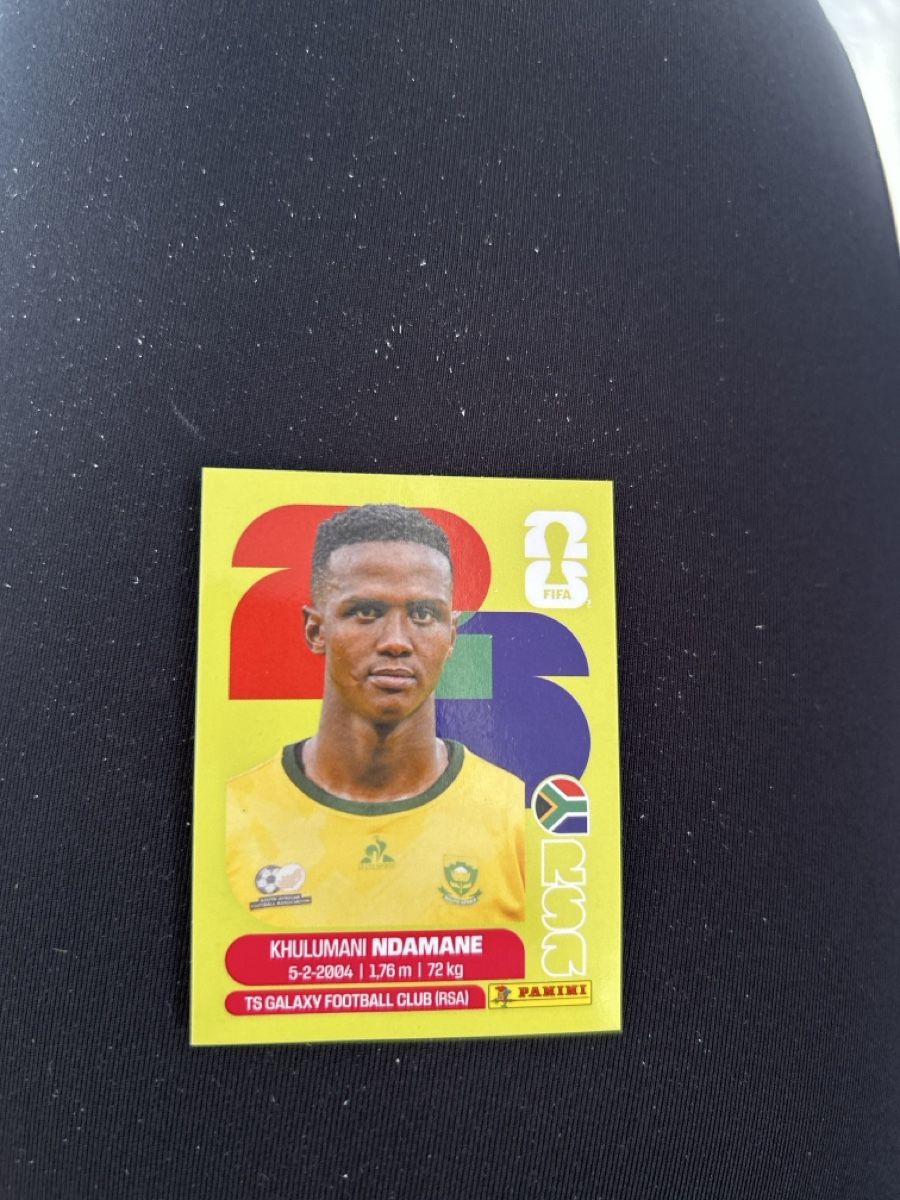 Panini Carte collezionabili: Panini RSA 7 – Nuovo (secondo la descrizione) da Lostorf venduto da Venice16