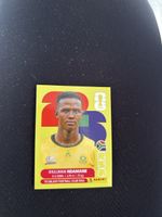 Panini RSA 7