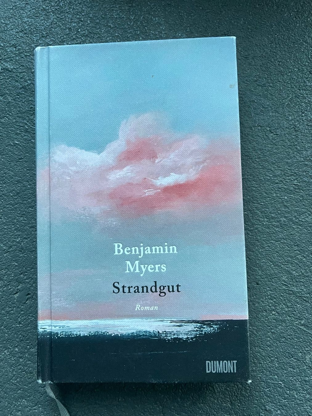 Libri: Strandgut Benjamin Myers – Usato da Novaggio venduto da seri00