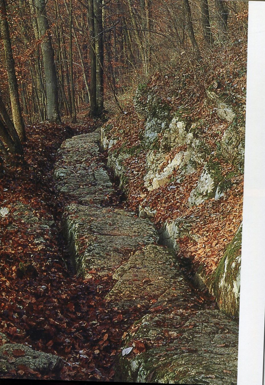 Bücher: Aargau, Römer, Archäologie, Geschichte – Gebraucht aus Aarau von Elmaar41 2