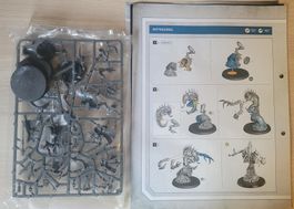 Warhammer 40k Symbiontenkulte: Rottenzirkel