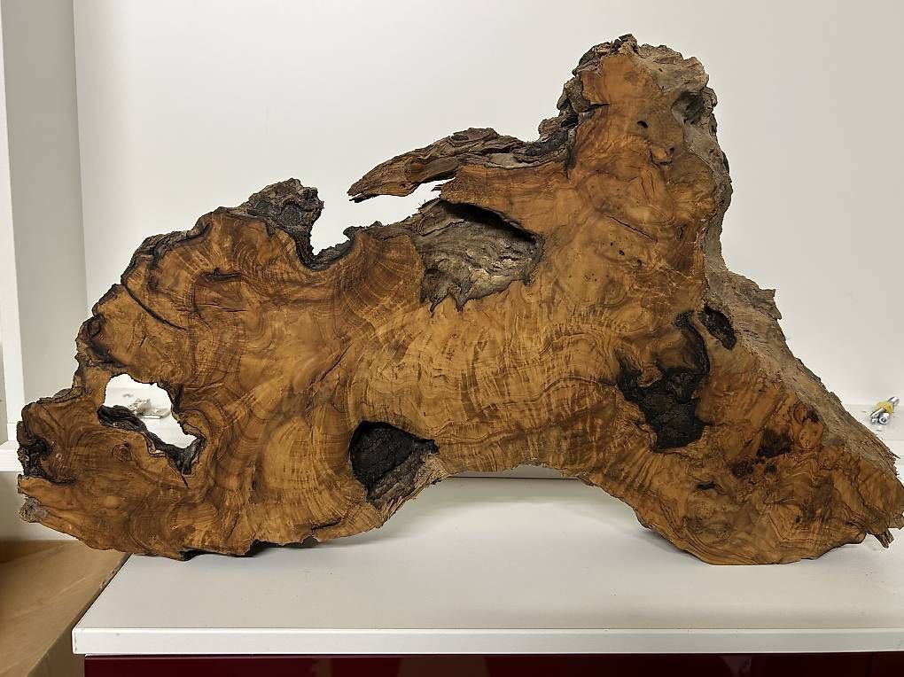 Articoli in legno: Schöne Olivenholz Scheibe – Usato da Allschwil venduto da Haffelow
