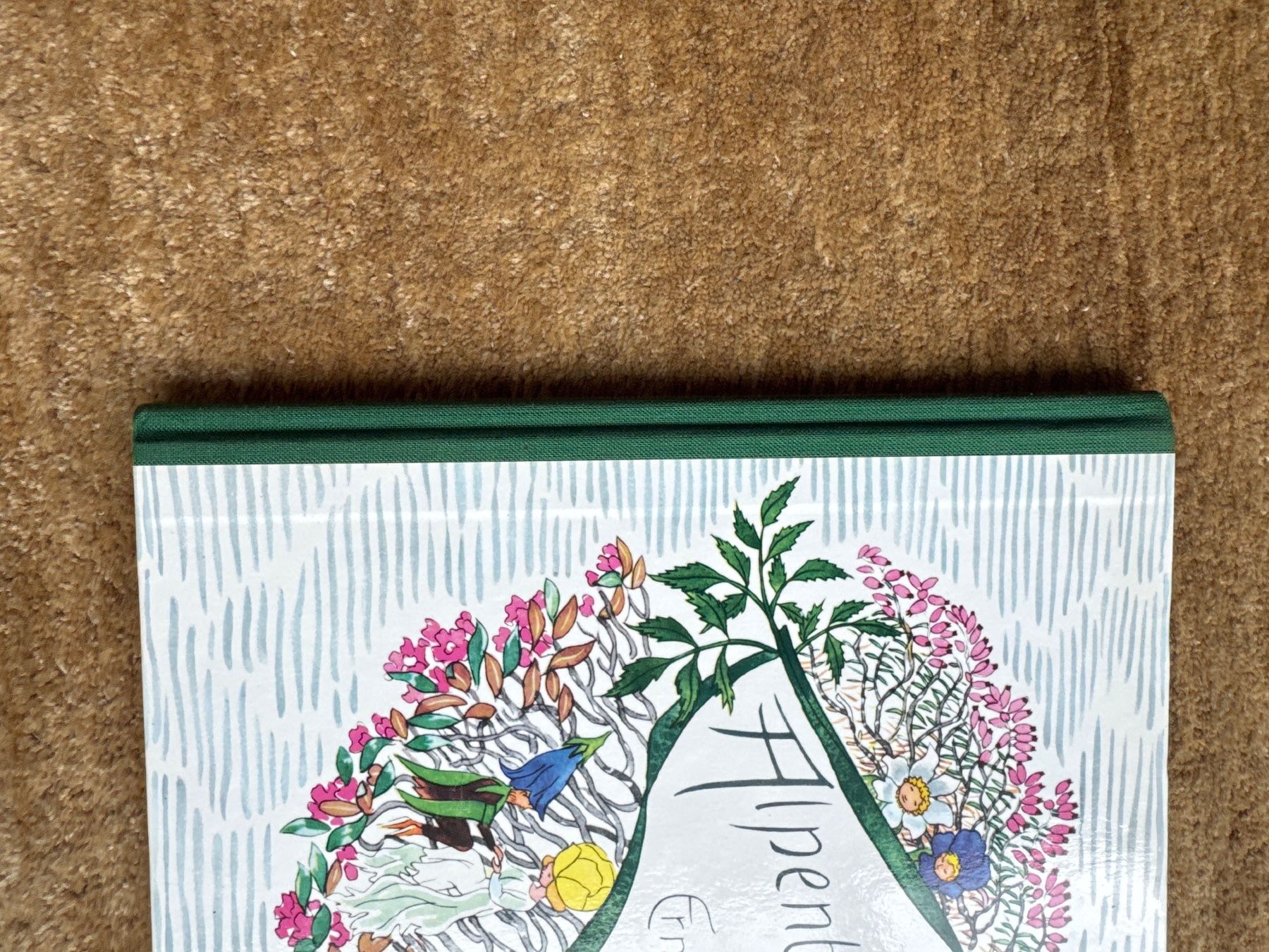 Libri: Alpenblumenmärchen - Ernst Kreidolf – Usato da Aarau venduto da Kilauea 1