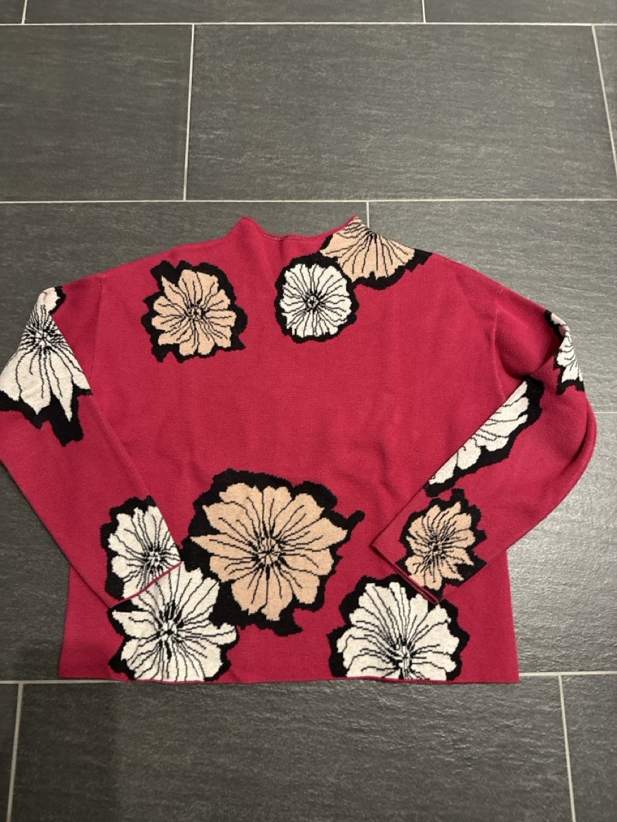 Hallhuber Maglioni & Felpe: Pullover  – Usato da Wiesendangen venduto da Schauzi