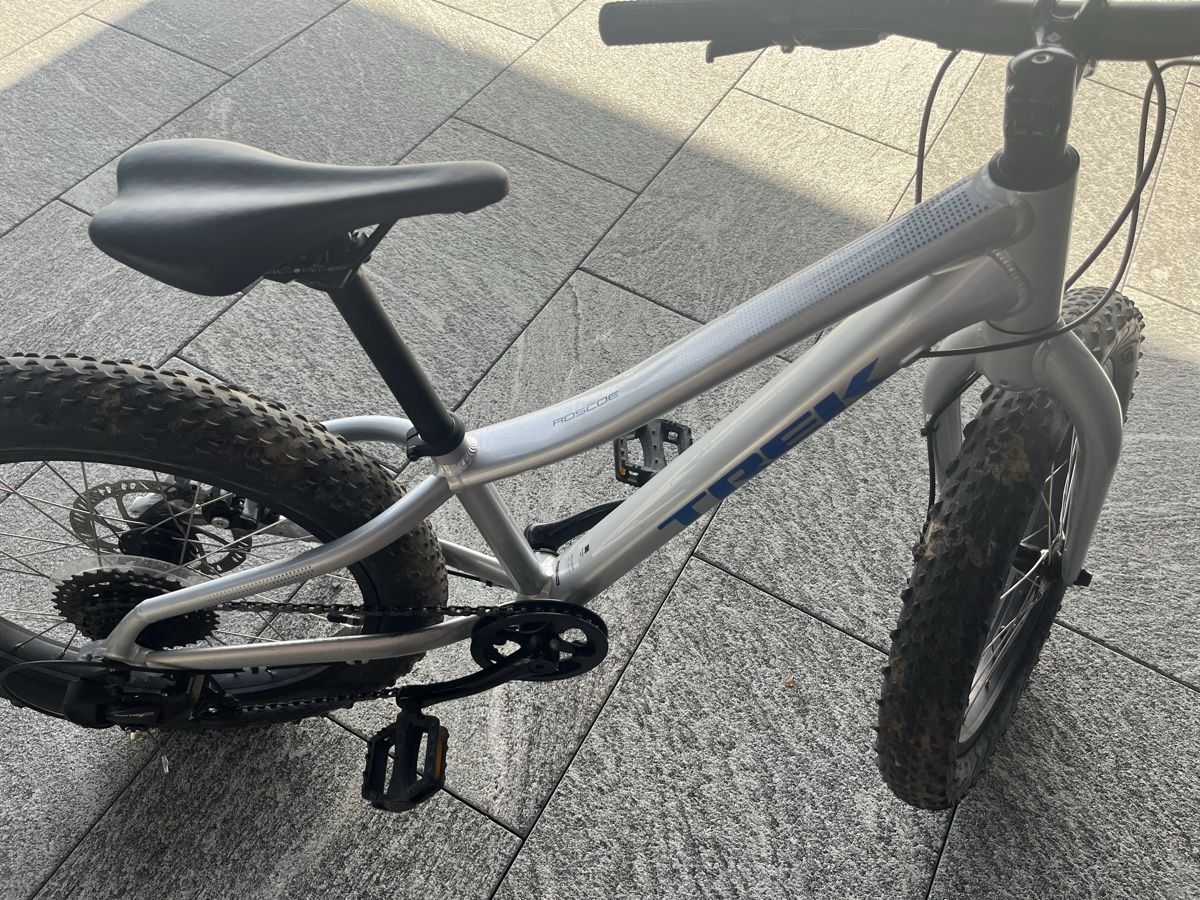 Trek Biciclette: Trek Roscoe 20 Zoll – Usato da Aesch ZH venduto da May84er 1