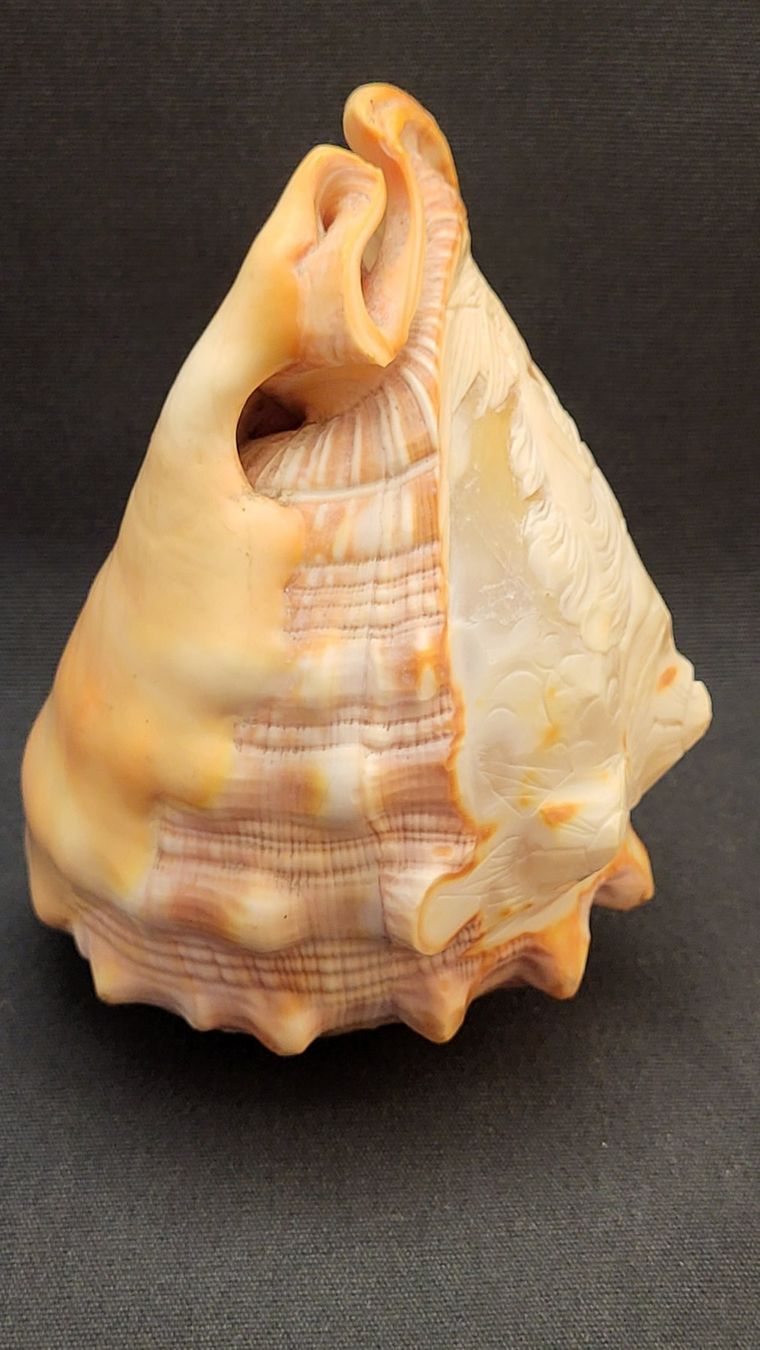 Figuren: Handgeschnitzte Cameo-Muschel – Gebraucht aus Basel von spinne02 2