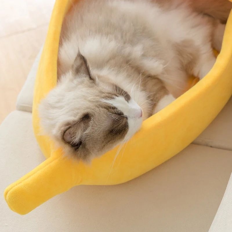 Liege- & Schlafplätze: Banana Katzenbett – Neu (gemäss Beschreibung) aus Tagelswangen von fireiceprincess 1