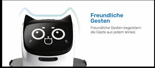 Giocattoli: Innovativer Servierroboter – Usato da Algetshausen venduto da Green.61 2