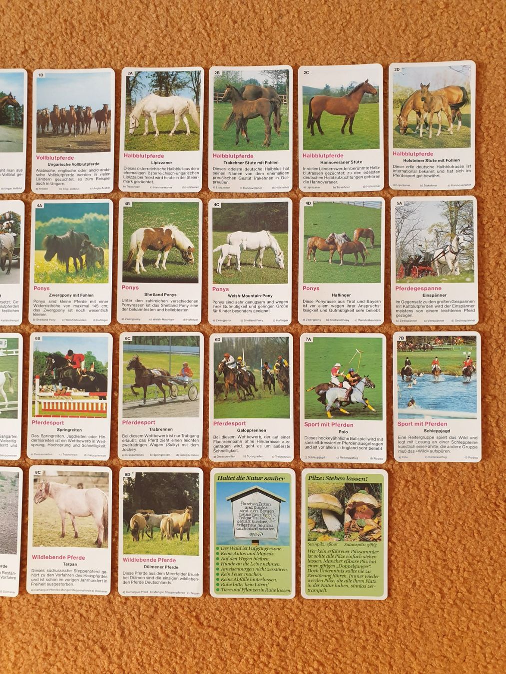 Spiele: PFERDE TIERLEBEN 6 Grossbild Quartett – Gebraucht aus Mörschwil von spirspi 4