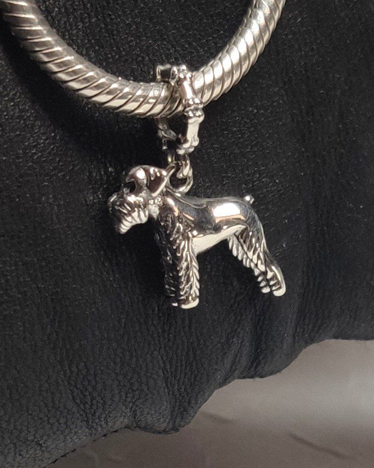 Ciondoli: Charm-Tiere, die mit Pan-do-ra kompatibel sind. – Nuovo e nell'imballaggio originale da Lamboing venduto da Qtrica 4