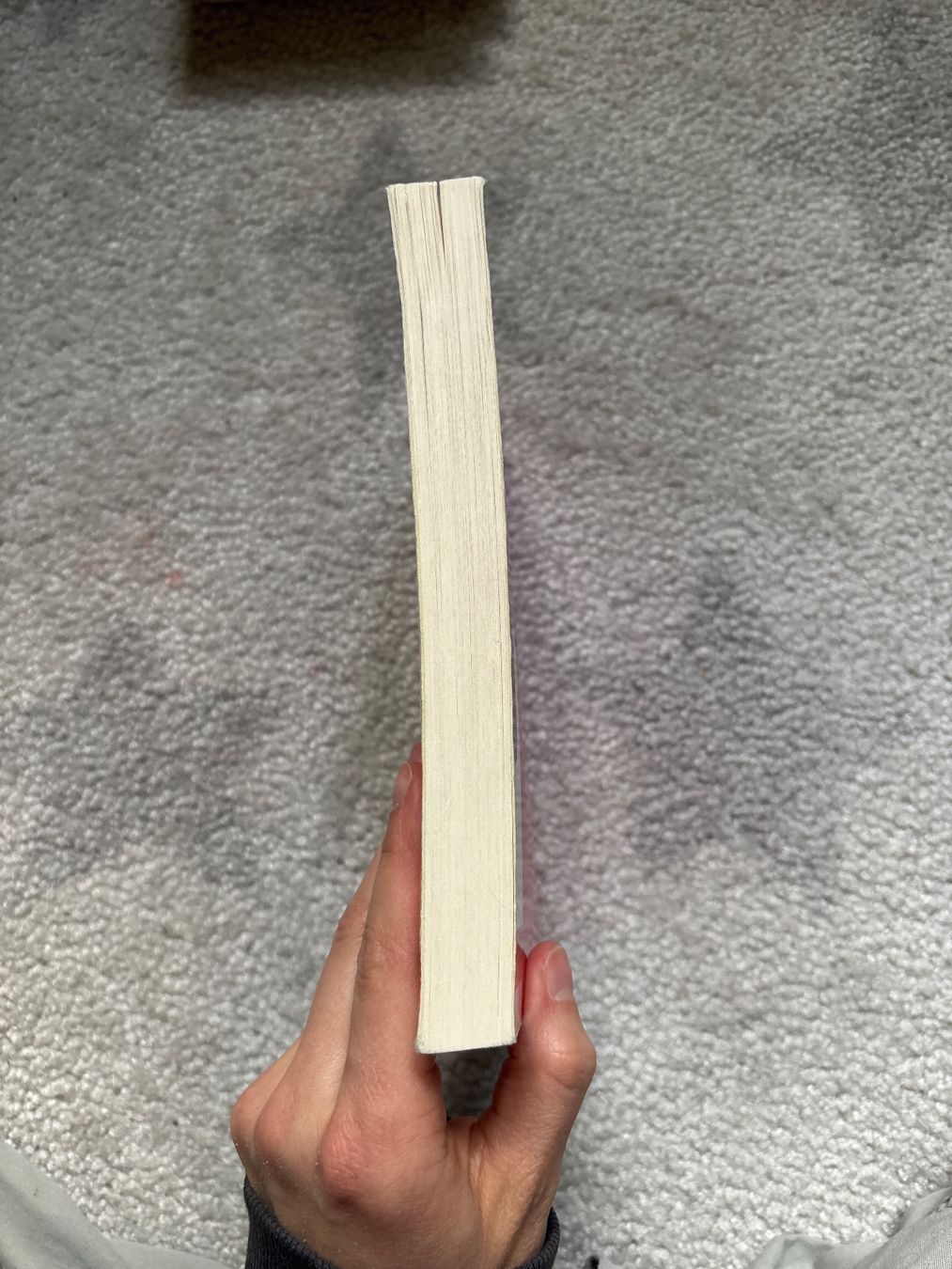 Bücher: boy2girl von Terence Blacker – Gebraucht aus Grub SG von Vinciguerra 3