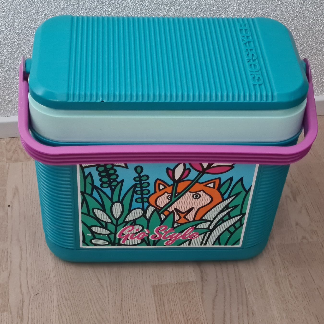 Réfrigérateurs et refroidissement: Kühlbox GIO'STYLE – D'occasion à Steinen par turbogeiss99 5